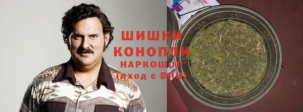 бошки Белокуриха