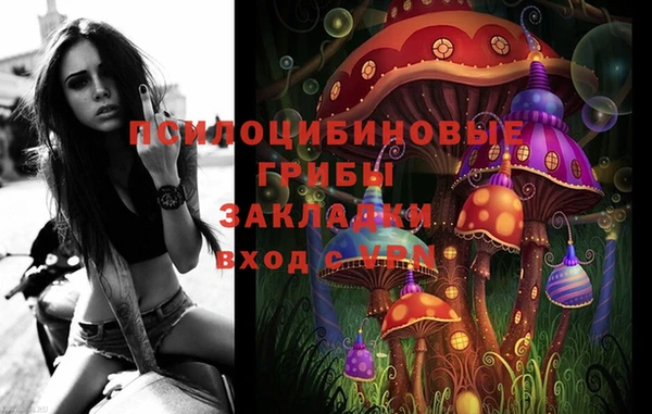 бошки Белокуриха