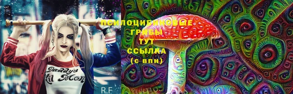 ПСИЛОЦИБИНОВЫЕ ГРИБЫ Балабаново