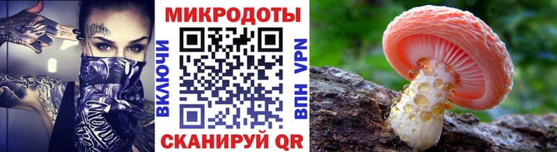 Псилоцибиновые грибы GOLDEN TEACHER  Малаховка 